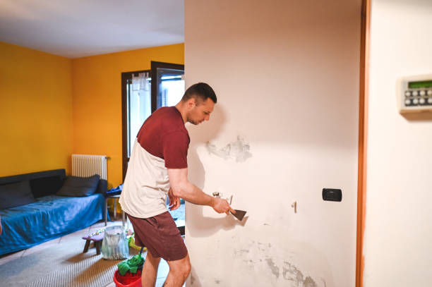 Mold Testing and Removal in Livingston, AL
